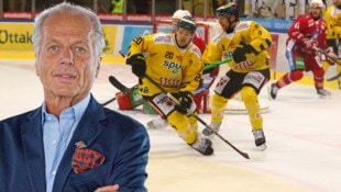 Seit Juni 2024 ist Martin Reiss Präsident der Vienna Capitals. (Bild: Krone KREATIV/spusu Vienna Capitals/Aaron Margotti/Leo Vymlatil)