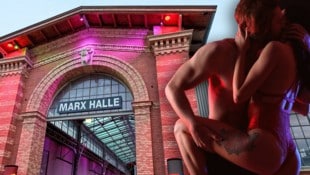 Die Erotik- und Fetischmesse lockt zahlreiche Besucher in die Wiener Marxhalle. (Bild: stock.adobe.com/stock.adobe.com, HEY-U-Mediagroup, Krone KREATIV)