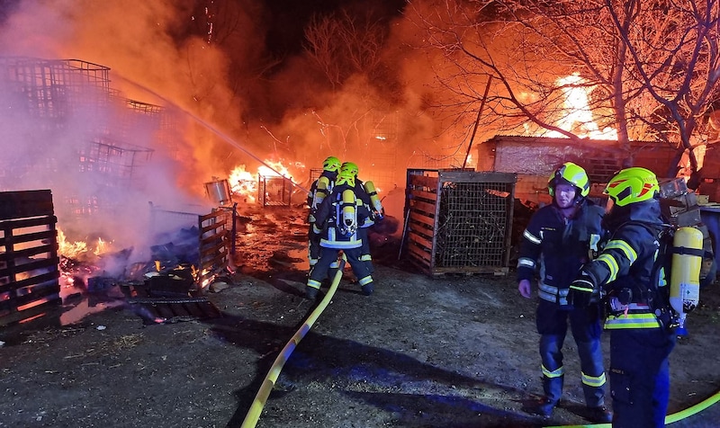 The fire is now under control. (Bild: APA/BFKDO BADEN/STEFAN SCHNEIDER)