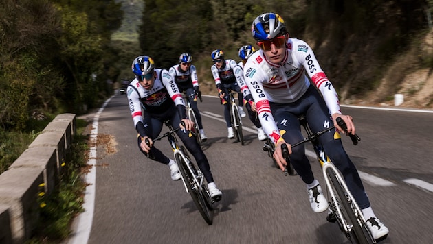 National champion Alexander Hajek (right) was hit by a cab on the race course. (Bild: Sebastian Marko / Red Bull Content Pool)