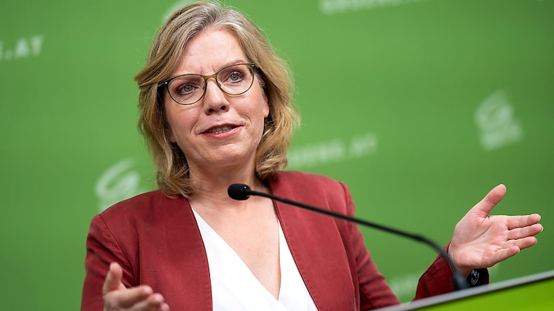 Climate Protection Minister Leonore Gewessler hopes that the next federal government will also promote electromobility. (Bild: APA/GEORG HOCHMUTH)