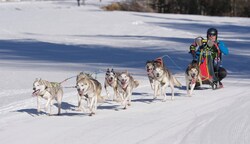 Im Schneeloch Hintersee sind am Sonntag hunderte Schlittenhunde zu bestaunen. (Bild: Scharinger/Hatheuer)