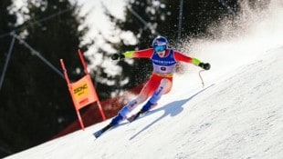 Titelverteidiger Marco Odermatt ist in der Abfahrt der große Favorit auf die Goldene. (Bild: APA/AFP/DIMITAR DILKOFF)