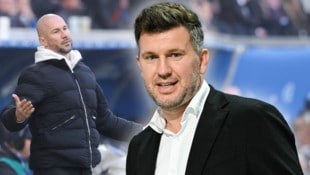 Christian Ilzer (links) und Andreas Schicker glauben an eine Überraschung gegen die Bayern.