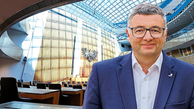 Jörg Leichtfried, stellvertretender Klubchef der SPÖ (Bild: Krone KREATIV/Felicitas Matern, Reinhard Holl)