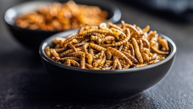 Mealworms in bread are just the beginning - according to the WHO, around 2000 species of insects are edible. (Bild: stock.adobe.com/jirka.ejc@seznam.cz)