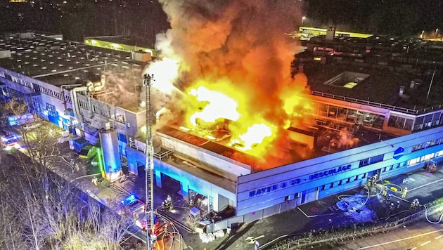 Meterhohe Flammen schossen aus dem Firmengebäude. (Bild: Markus Tschepp)