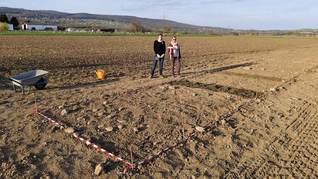 The team of archaeologists in action (Bild: Archäologie Burgenland)