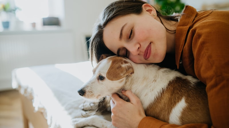 Tiere übernehmen für viele Menschen eine wichtige emotionale Rolle – manchmal sogar als Ersatz für einen Partner. Auch Menschen, die in einer schwierigen Beziehung stecken, kann ein Hund Trost, Gesellschaft und bedingungslose Liebe bieten. (Bild: Halfpoint - stock.adobe.com)