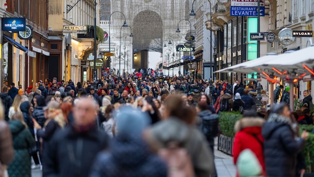 A total of 2,028,399 people lived in the federal capital of Vienna, 36.4 percent of whom were foreigners. (Bild: APA/GEORG HOCHMUTH)