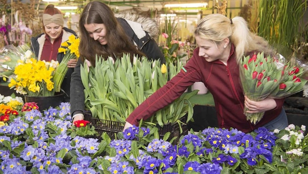 Many spring flowers are given as gifts on Valentine's Day. (Bild: Foto Fischer)