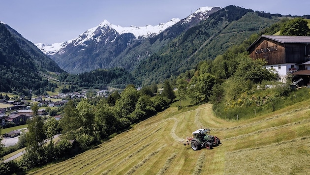 Unsere Bauern hegen und pflegen die Landschaft. (Bild: EXPA/ JFK)