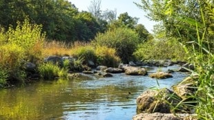 Auch die Renaturierung des Wienflusses ist Teil der insgesamt 100 Maßnahmen im Wiener Klimafahrplan. (Bild: Stadt Wien/Wiener Gewässer)