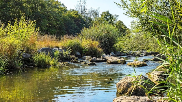 The renaturation of the Wien River is also part of the 100 measures in Vienna's climate roadmap. (Bild: Stadt Wien/Wiener Gewässer)