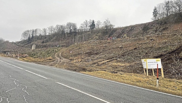 In Langauen sind die Rodungsarbeiten für die Zufahrtsstraße bereits weit fortgeschritten. (Bild: Fister Katrin)