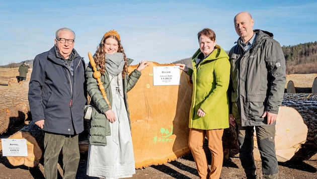 Freude über gute Erlöse bei edlen Holzarten bei: Franz Schrimpl, Waldkönigin Monalisa, NÖ Landwirtschaftskammer-Vizepräsidentin Andrea Wagner und  NÖ Waldverbands-Obmann Franz Fischer. (Bild: Georg Pomaßl/LK Niederösterreich)