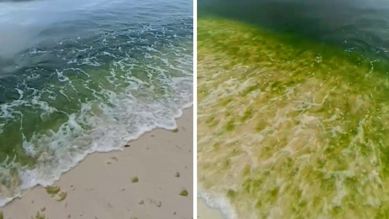 The beach in Boracay is not very tempting for holidaymakers in February. (Bild: kameraone)