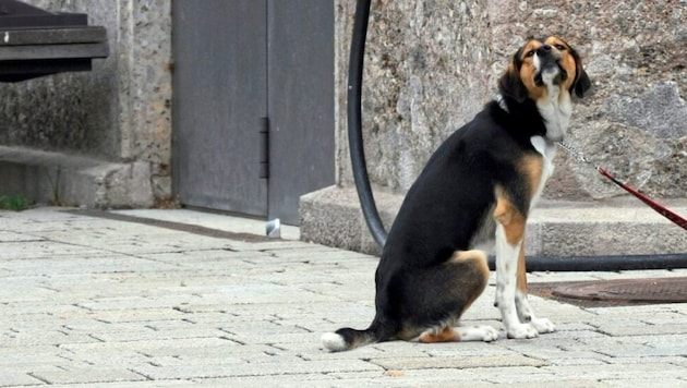 The incident occurred in Radfeld on Tuesday (symbolic image). (Bild: Birbaumer Christof)