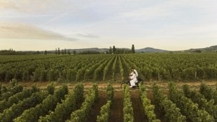 Von Dijon über Santenay bis nach Beaune erstrecken sich Weinberge. Die „Route des Grands Crus“ ist die bekannteste der sechs Weinstraßen. Die Radwege sind gut beschildert. Schöne Dörfer wie Puligny-Montrachet, Pommard oder Meursault sind lohnende Ausflugsziele. (Bild: COMO Hotels & Resorts)