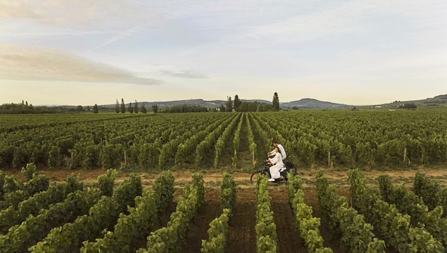 Vineyards stretch from Dijon via Santenay to Beaune. The "Route des Grands Crus" is the most famous of the six wine routes. The cycle paths are well signposted. Beautiful villages such as Puligny-Montrachet, Pommard or Meursault are worthwhile excursion destinations. (Bild: COMO Hotels & Resorts)