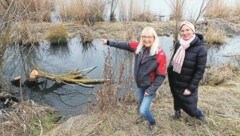 LH-Stv. Anja Haider-Wallner (Grüne) informierte sich in Hinblick auf den Biber bei Silvia ...