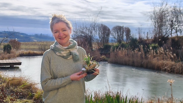 Gartenprofi Patrizia Haslinger verrät, was Schneeglöckchen benötigen und wo sie am besten wachsen. (Bild: The Heartgardener)