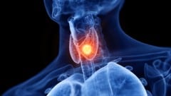 Die Macht der Schilddrüse wird oft unterschätzt.