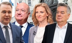 Gemeinsam mit den Grünen will die Koalition ein für Parteien äußerst teures Verbot streichen.