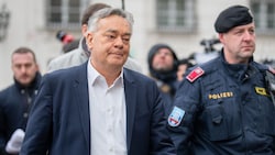 Grünen-Chef Werner Kogler am Weg in die Hofburg (Bild: APA/GEORG HOCHMUTH)