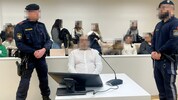 Der schwer vorbestrafte Wiener vor Gericht.
