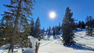 Auf dem Höhenweg vom Burtschasattel zur Furklaalpe kann man die Schönheit der winterlichen Natur ...