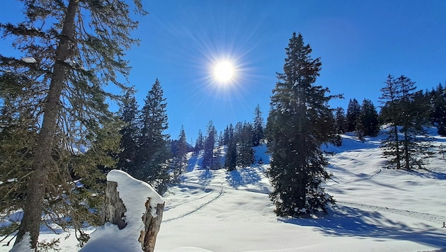 On the high-level trail from the Burtschasattel to the Furklaalpe, you can enjoy the beauty of winter nature in peace and quiet, far away from the noise of civilization. (Bild: Bergauer Rubina)