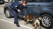 Spürhunde sollen Drogen bei Grenzkontrollen erschnüffeln.