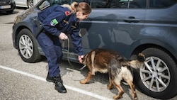 Spürhunde sollen Drogen bei Grenzkontrollen erschnüffeln.
