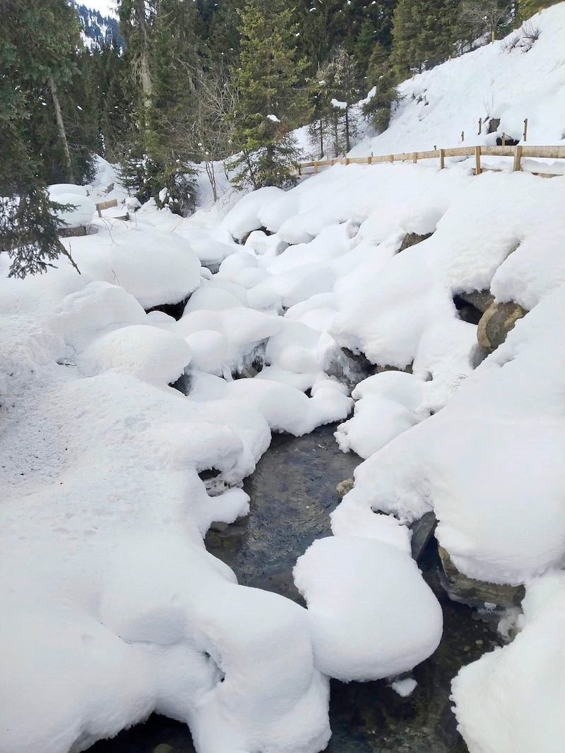 Wonderful winter landscape in the Fotschertal (Bild: Peter Freiberger)