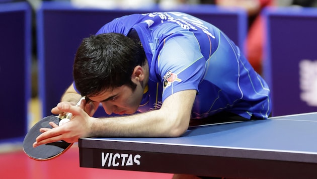 Amirreza Abbasi wurde vor dem Viertelfinale in der Champions League gefeuert. (Bild: GEPA/GEPA pictures)