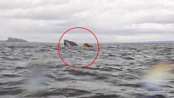 Einem TV-Sender sagte der Vater später, in den drei Sekunden, als sein Sohn plötzlich ...