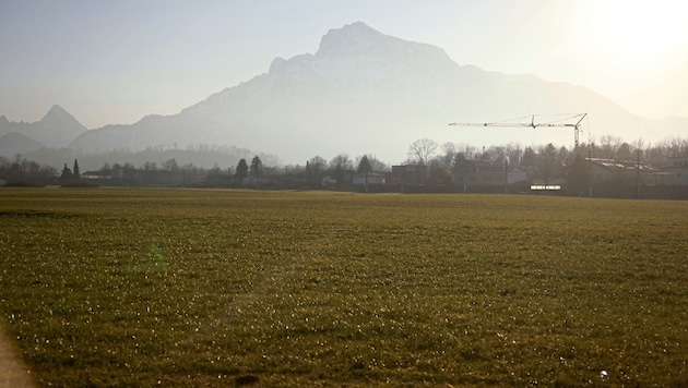 The green area in Aigen (Bild: Tröster Andreas/Andreas Tröster)