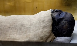 Die Mumie Pharaos Merenre I