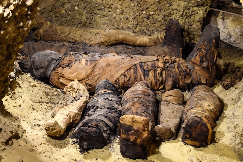 Linen-wrapped mummies found in 2019 in burial chambers from the Ptolemaic period (323-30 BC). (Bild: AFP or licensors)