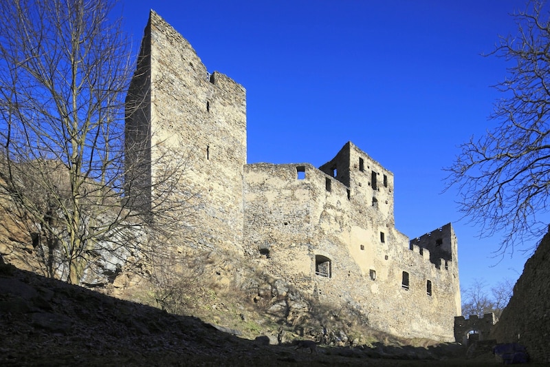 The old FPÖ politician's family had a forester's lodge near the Kronsegg castle ruins. (Bild: imago/Peter Seyfferth)