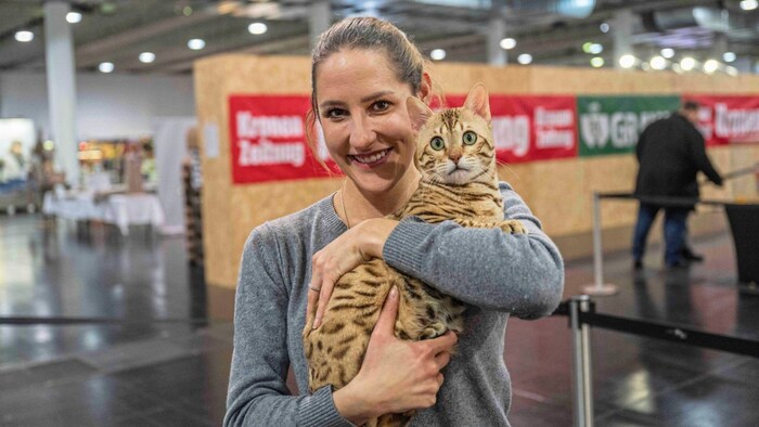 Many pedigree cats can also be seen at the festival