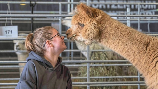 Delightful moments at the Animal Festival in Graz (Bild: Juergen Fuchs)