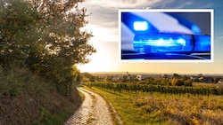 Auf einem Feldweg bei Guntramsdorf kam es zu dem verstörenden Übergriff. (Bild: Krone KREATIV/stock.adobe.com, Werner Kerschbaummayr)