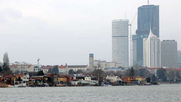 Der Oberste Gerichtshof wies um den Jahreswechsel die Revision der Stadt Wien in der Causa zurück. Es geht um einen Kleingarten an der Alten Donau. (Bild: Bartel Gerhard/Bartel)