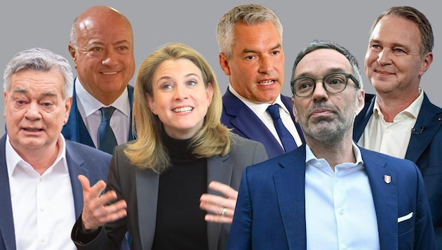 Werner Kogler (Grüne), Christian Stocker (ÖVP), Beate Meinl-Reisinger (Neos), Karl Nehammer (ÖVP), Herbert Kickl (FPÖ), Andreas Babler (SPÖ) (Bild: Krone KREATIV/Georg Hochmuth, Uta Rjsek-Wiedergut, Helmut Fohringer, Georg Hochmuth, Heinz-Peter Bader, Mario Urbantschitsch)