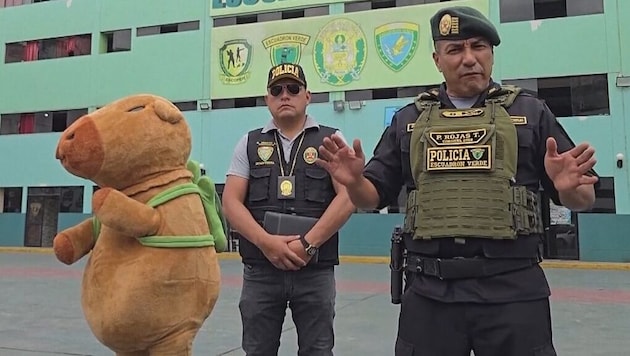 The policeman disguised as a capybara (left) lured a drug dealer out of his house with gifts. (Bild: kameraOne (Screenshot))