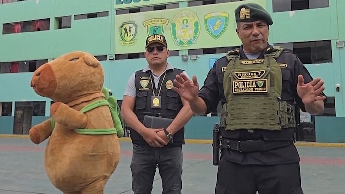 Der als Wasserschwein verkleidete Polizist (links) lockte mit Geschenken einen Drogendealer aus ...