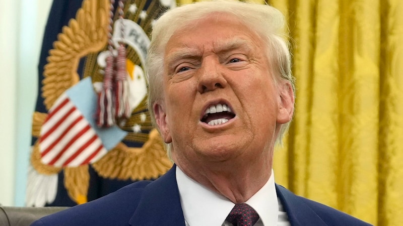 „Warum ist Trump so faszinierend?“, fragt sich Top-Ökonom Bonin. Die Antwort: „Weil er disruptiv ist und Dinge tut, die man nicht für möglich gehalten hat. Leider tut er die falschen Dinge.“ (Bild: AP)