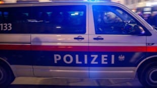 In Wien-Favoriten ist Samstagnacht ein 31-Jähriger auf seine Partnerin losgegangen (Symbolbild). (Bild: APA/Florian Wieser)